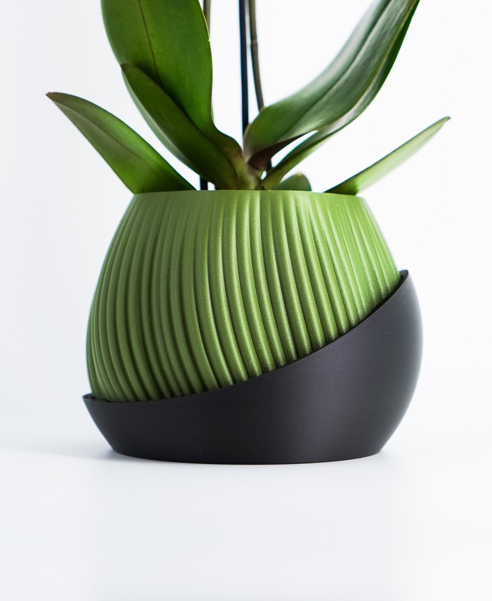 Maceta 3D moderna verde con base negra, diseño con líneas curvas para planta de interior